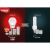 Eveready Base B22D 12-Watt LED Bulb (Cool Day Light)