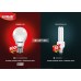 Eveready Base B22D 12-Watt LED Bulb (Cool Day Light)